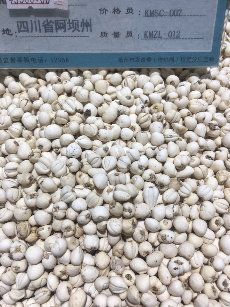 川贝母松贝青贝炉贝批发零售量大从优