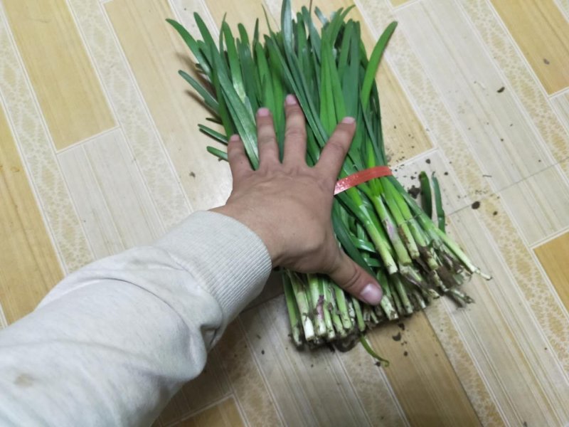 露天大金沟定量不定价质量杠杠的