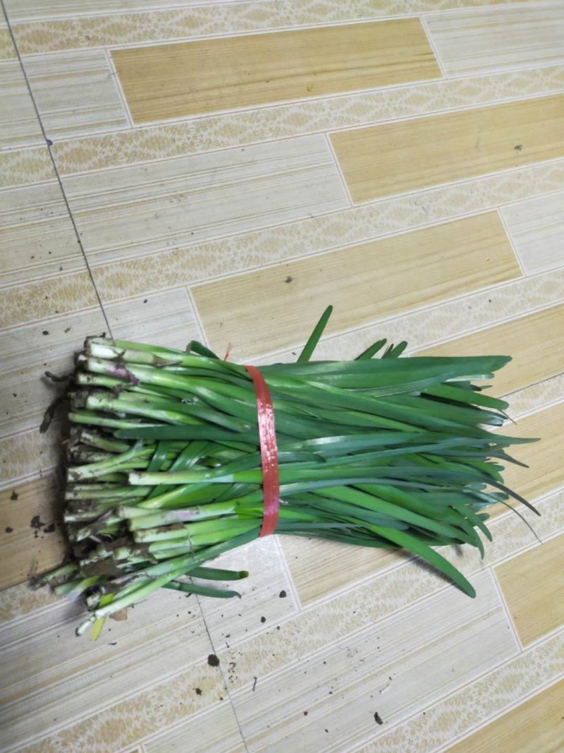 露天大金沟定量不定价质量杠杠的