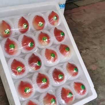 春雪水蜜桃