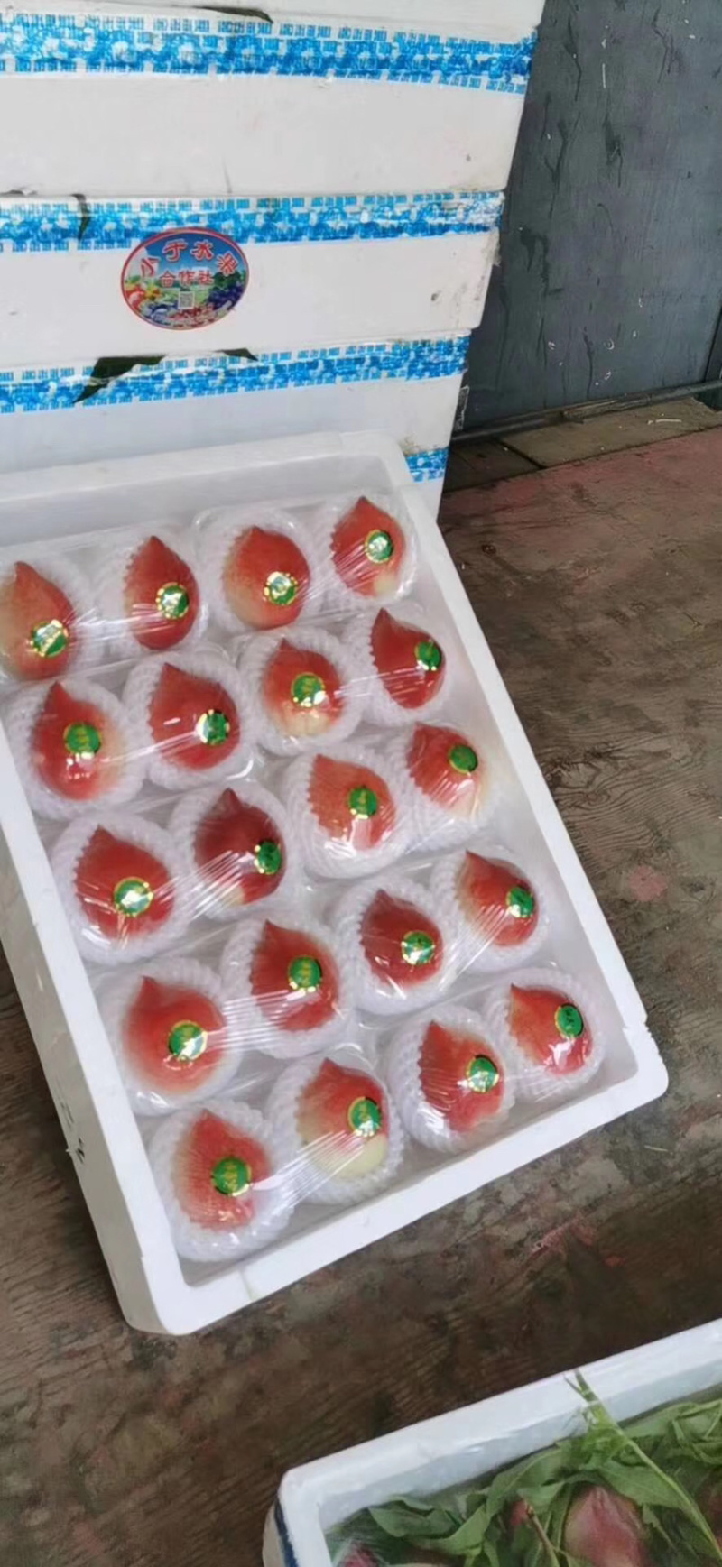 春雪水蜜桃