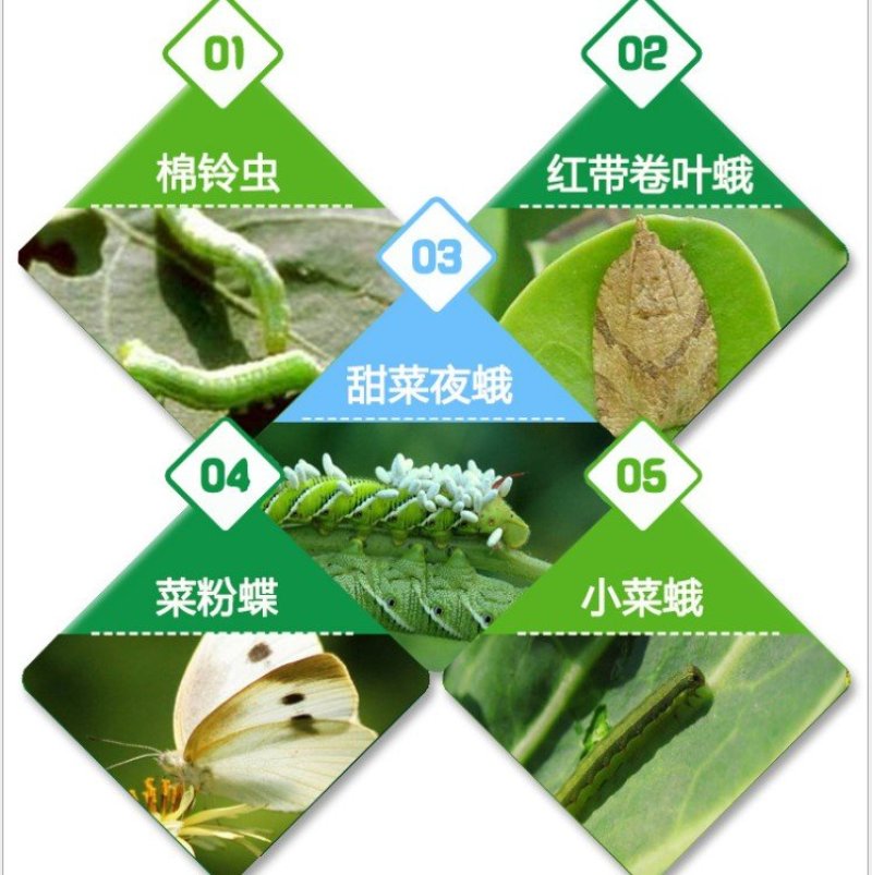 5%虱螨脲杀虫甜菜夜蛾不伤作物虫剂1000毫升12瓶