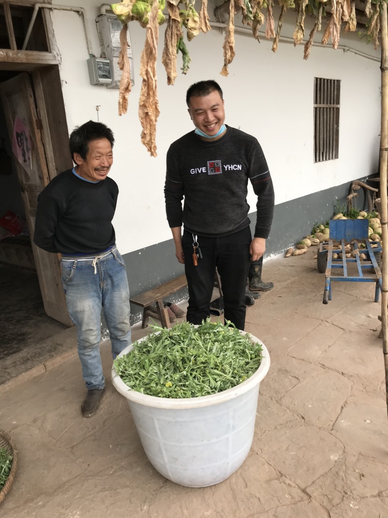 清明菜！清明草清明菜粑粑原材料干货现货