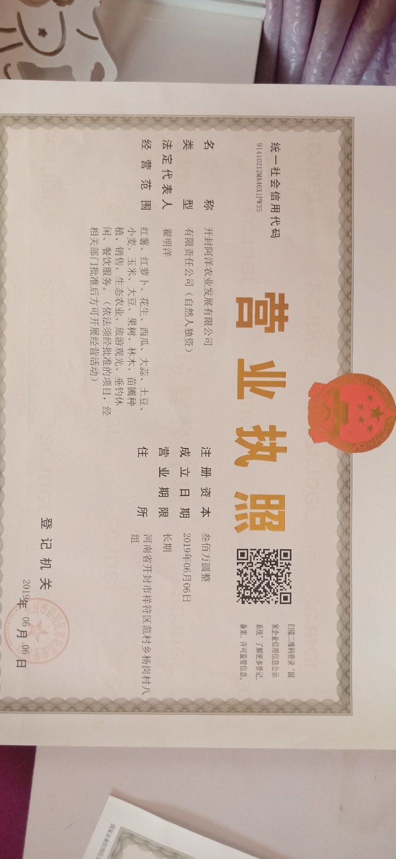 开封蒜薹常年代收代发全国诚信经营质量有保证