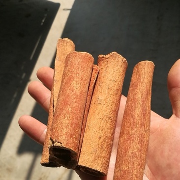 桂皮，缅甸进口烟桂，干度好，皮干净