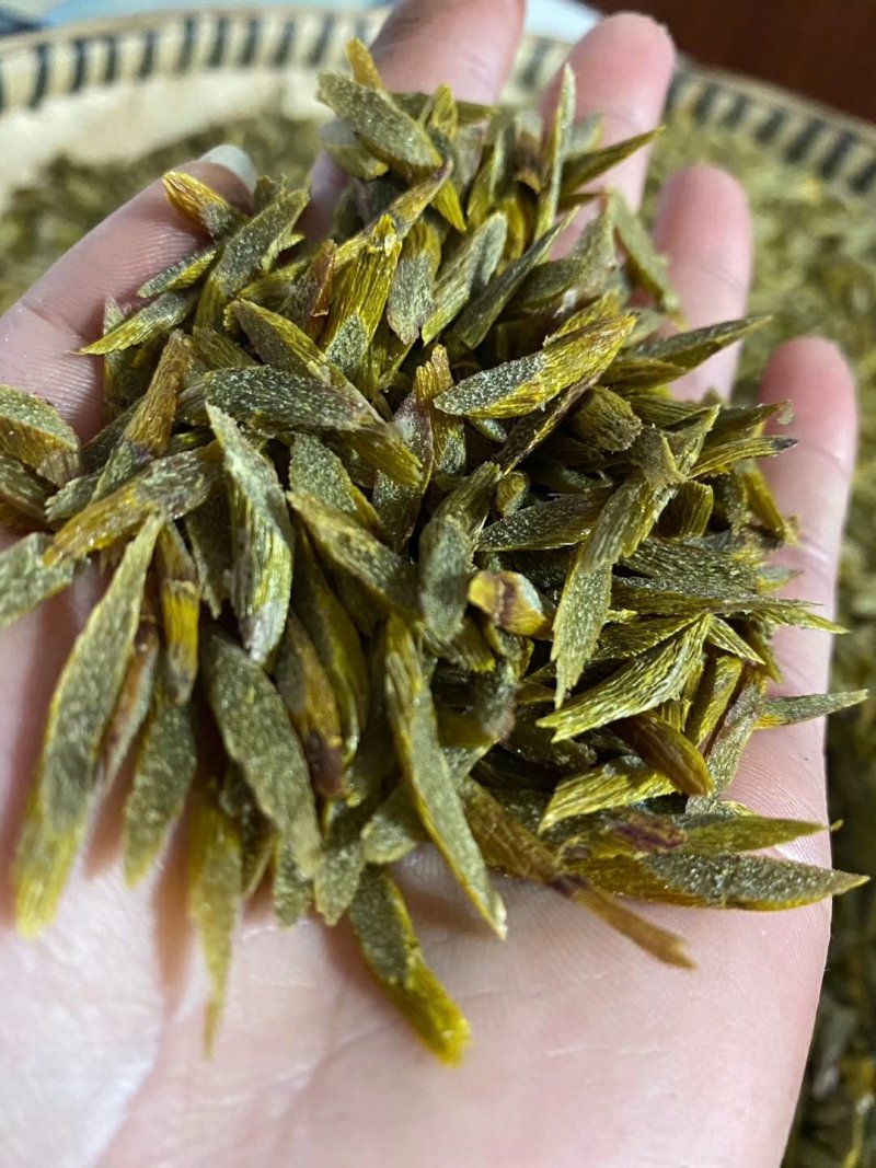 原产地石斛正宗铁皮石斛霍山石斛产地直销常年供应