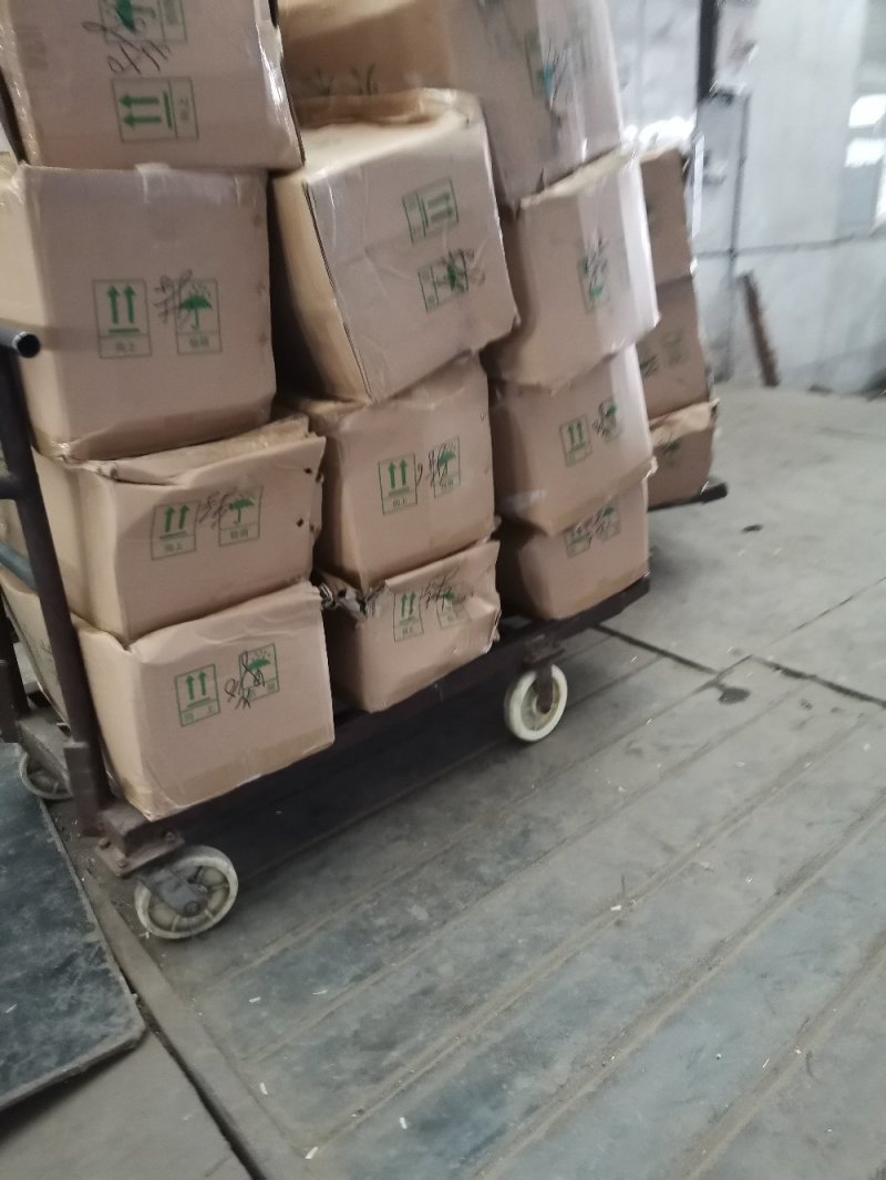贡菜，味道和海蜇一样的贡菜，产地直销，量大从优
