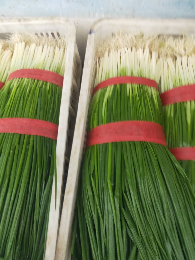 代收蔬菜