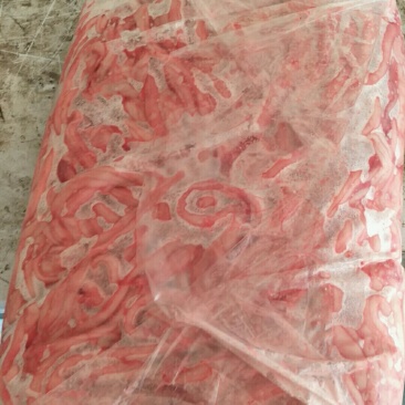 猪骨髓。冷冻猪骨髓，好质量