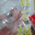 红石斑鱼速冻调制生制红石斑鱼