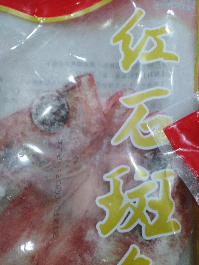 红石斑鱼速冻调制生制红石斑鱼