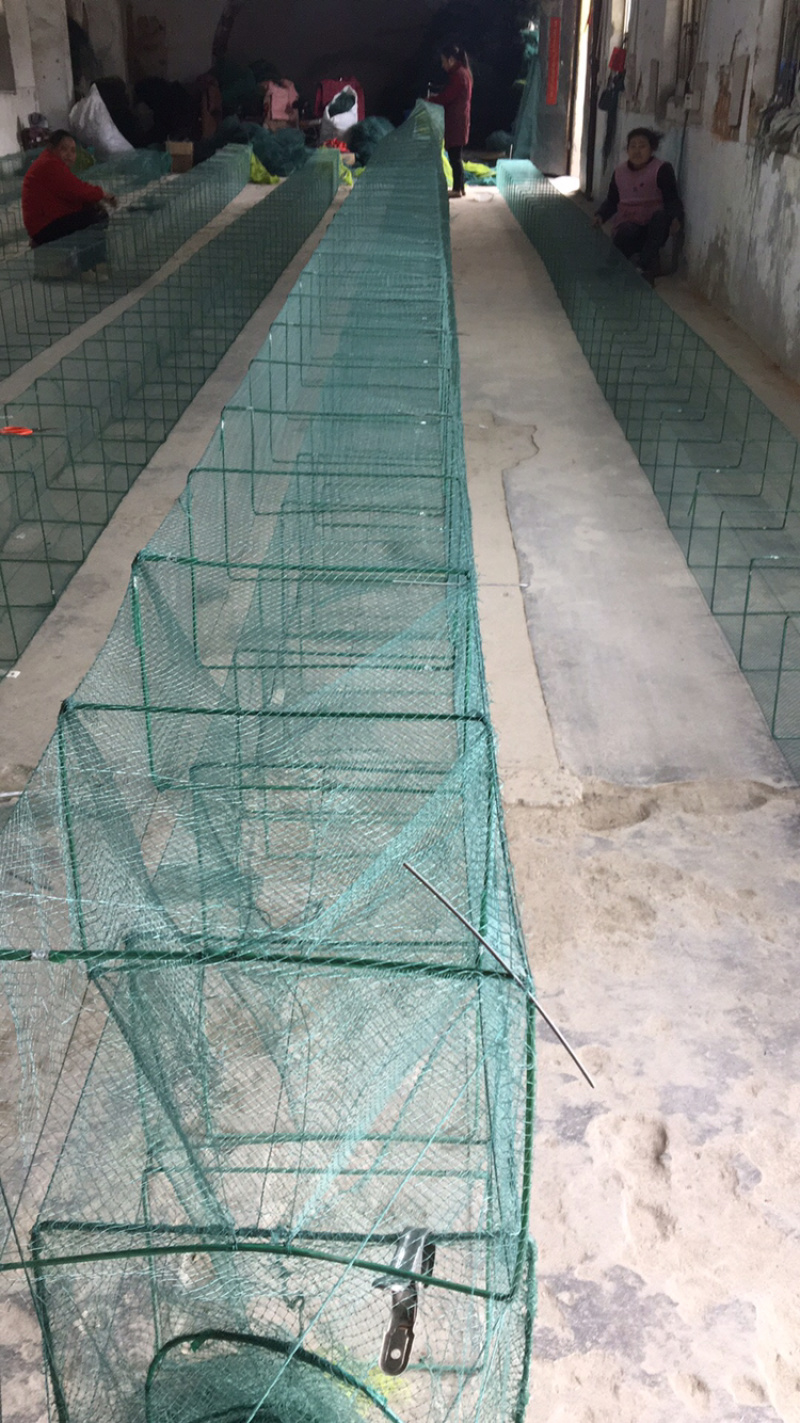 洪泽湖畔虾蟹伊乐藻有根好成活