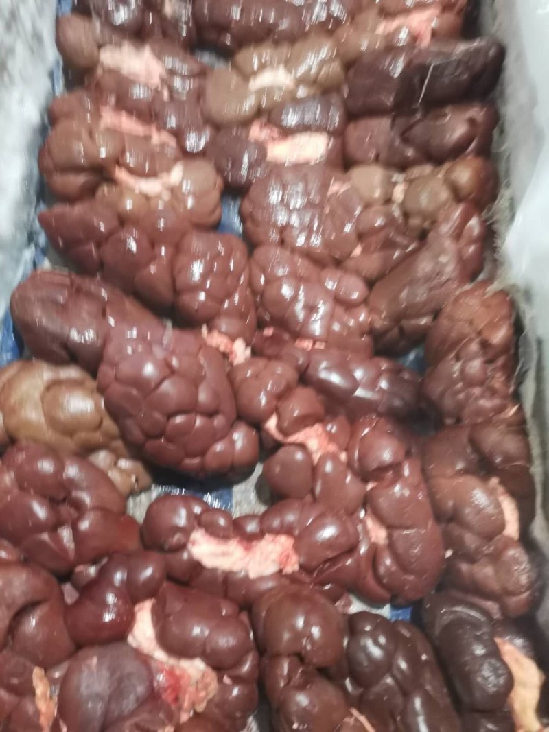 国产纯干牛净腰（一手货源）