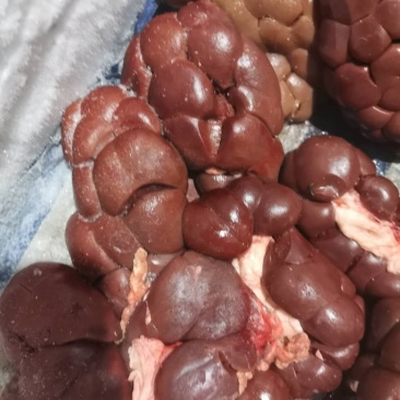 国产纯干牛净腰(一手货源)