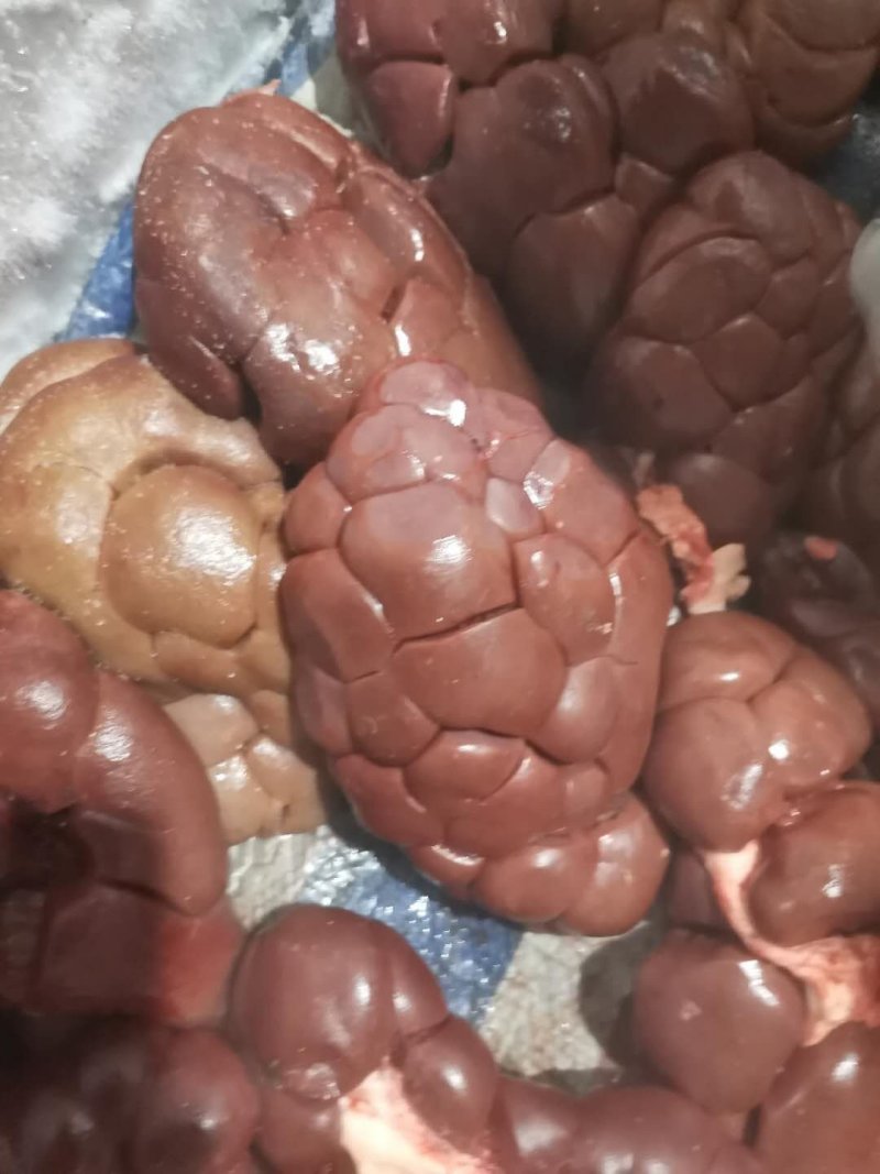 国产纯干牛净腰（一手货源）