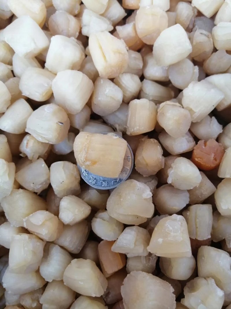 干贝瑶柱清甜干贝煮粥煲汤