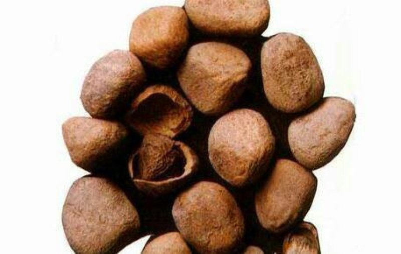大枫子，常年批发供应大风子中药材