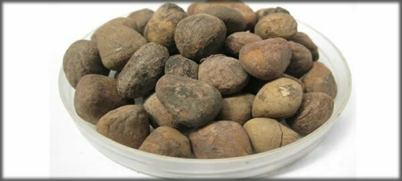 大枫子，常年批发供应大风子中药材