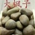 大枫子，常年批发供应大风子中药材
