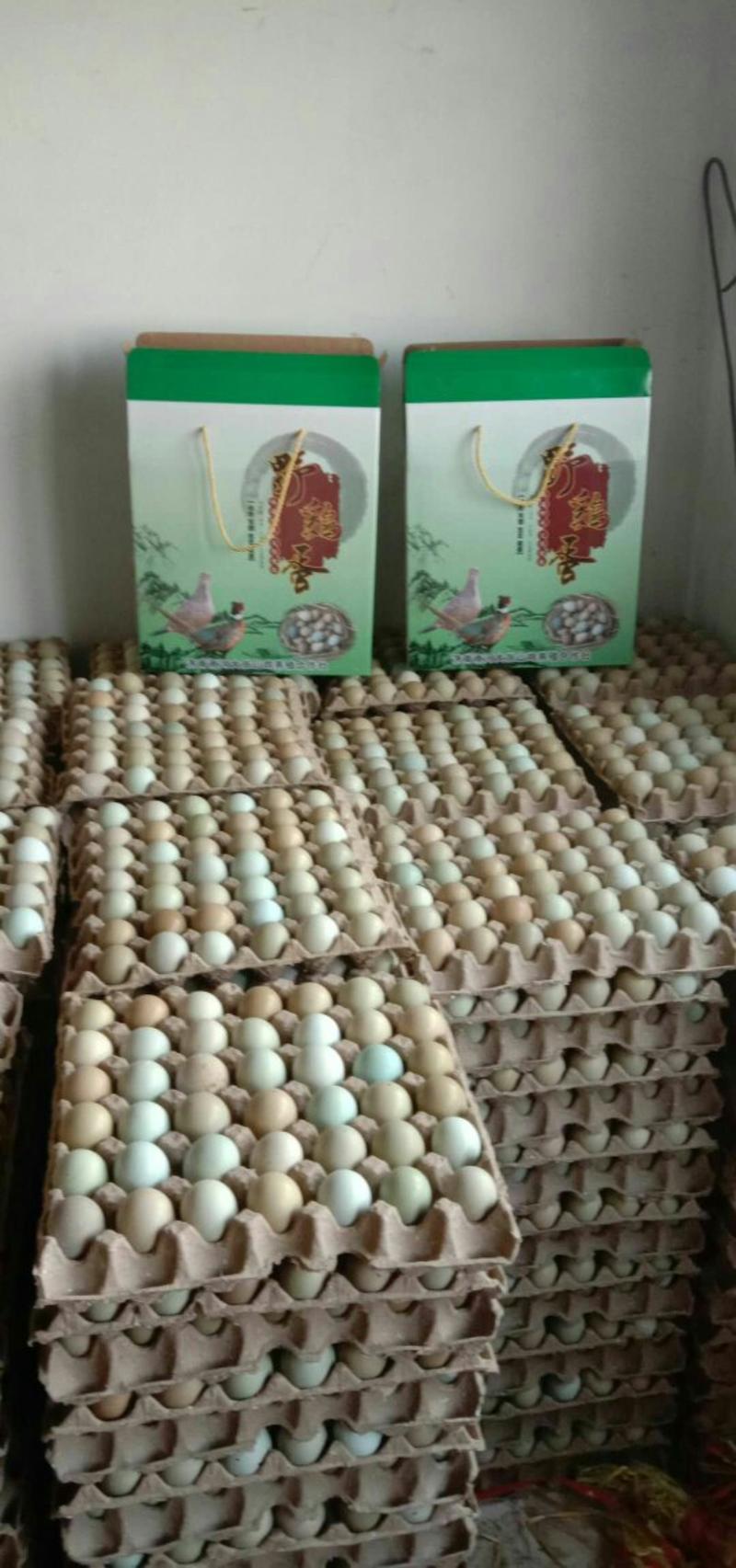 七彩山鸡蛋营养丰富建康美味保证质量破损保陪需要的老板