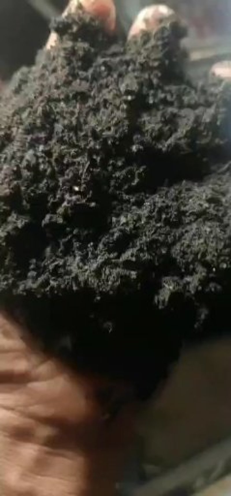 腐熟发酵稻壳羊粪有机肥