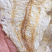 舟山鳕鱼片零食批发支持在线支付交易！(不包邮)