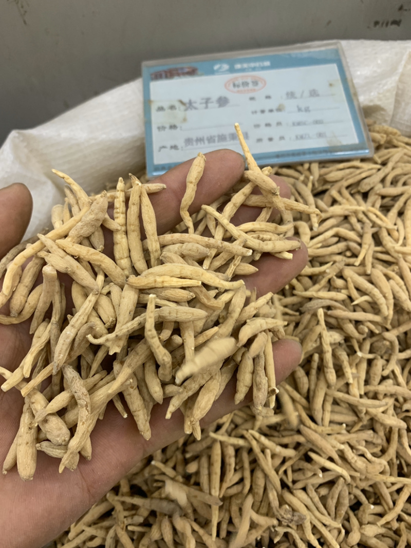 太子参统货去尾达克无硫磺熏蒸一公斤起批