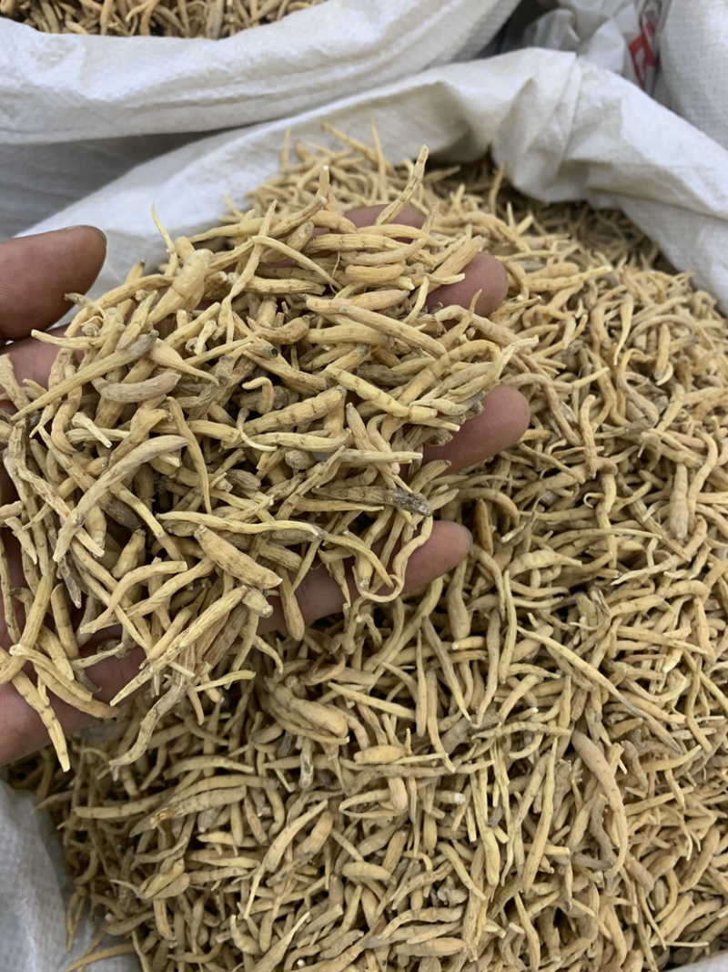 太子参统货去尾达克无硫磺熏蒸一公斤起批