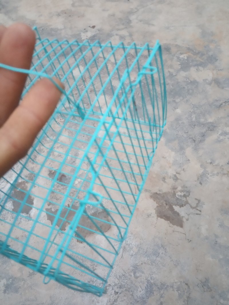 加密笼物摆摊兔子仓鼠小鸡等宠物便携式手提笼