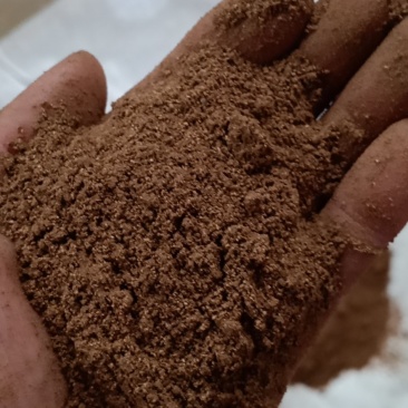 柏子壳粉