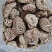2022随县干香菇大花菇肉厚型好