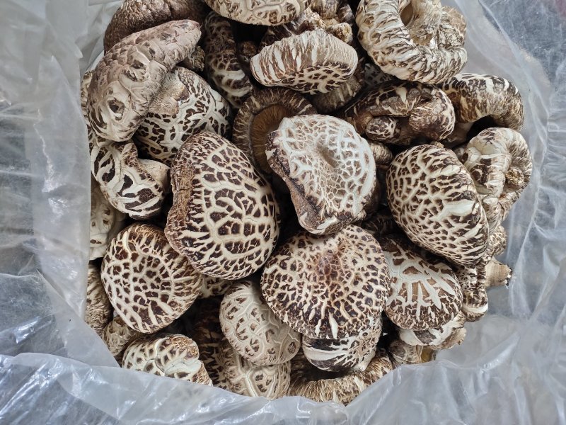 2022随县干香菇大花菇肉厚型好