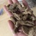 纯野生昭通小草呗天麻云南丽江野生红天麻