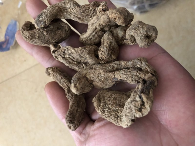纯野生昭通小草呗天麻云南丽江野生红天麻