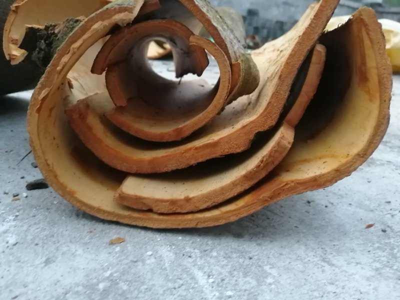 广西无琉野生桂皮桂板桂筒桂碎