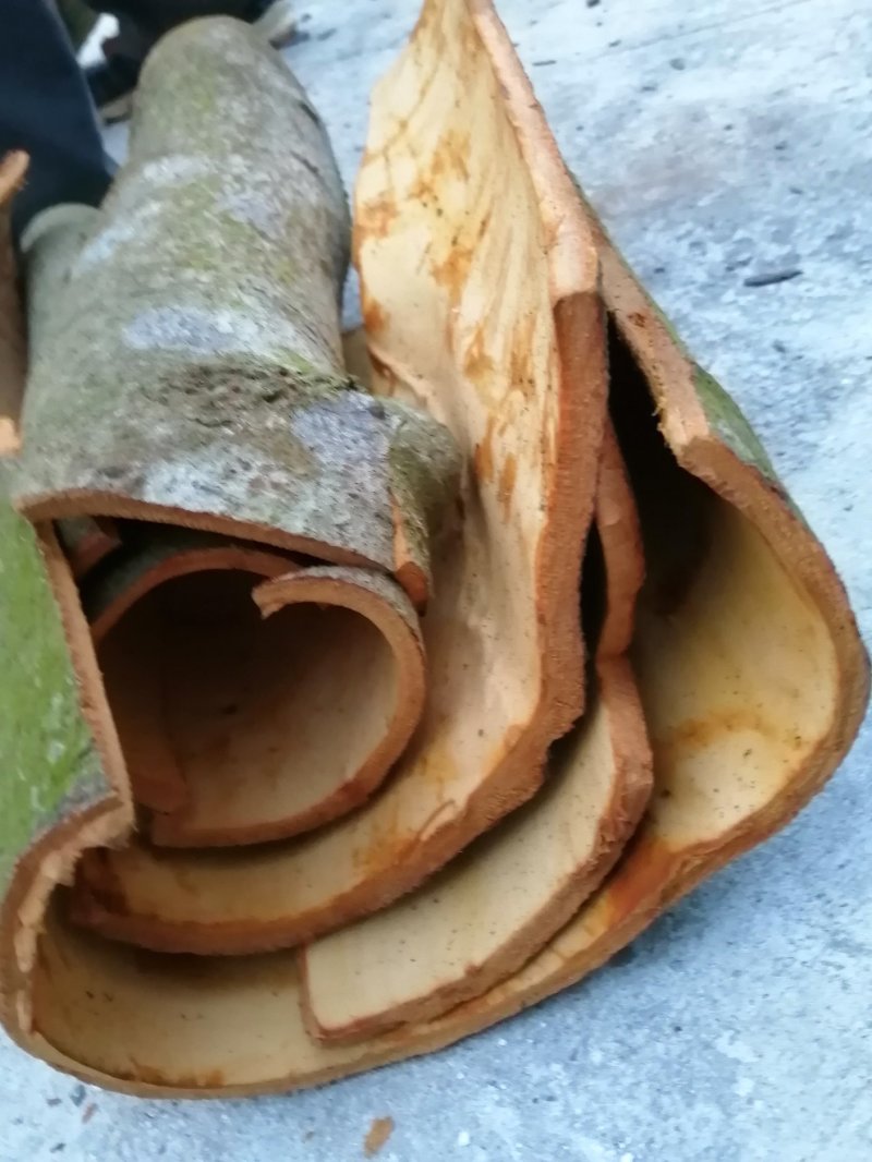 广西无琉野生桂皮桂板桂筒桂碎