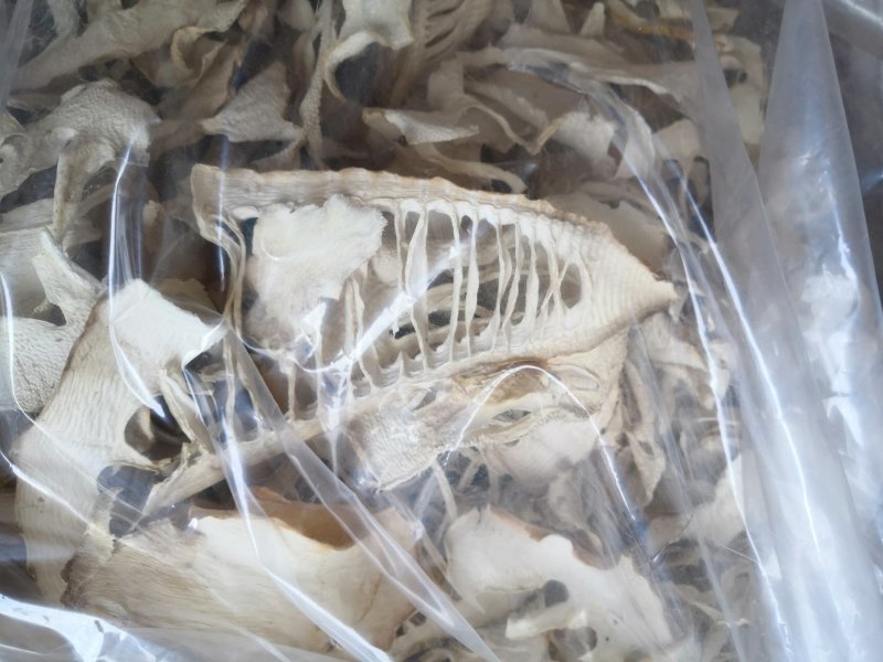 干货楠竹笋玉兰片干竹笋
