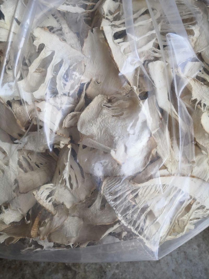 干货楠竹笋玉兰片干竹笋