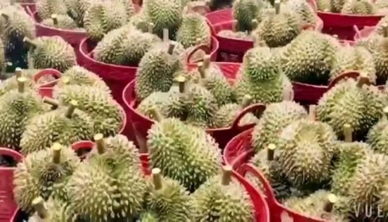 泰国金枕