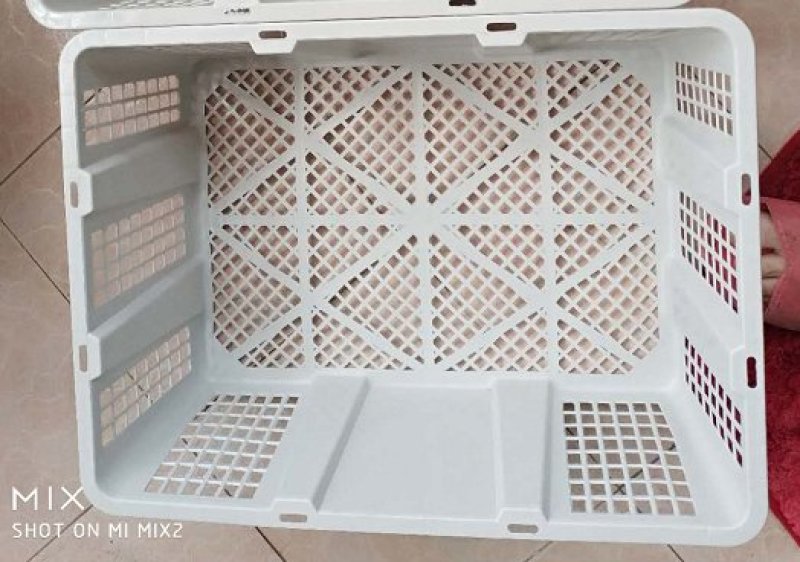 带盖一次性桂圆筐塑料筐包装筐厂家批发