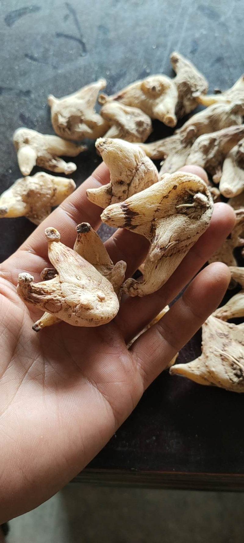 白芨干货，个子个子统货