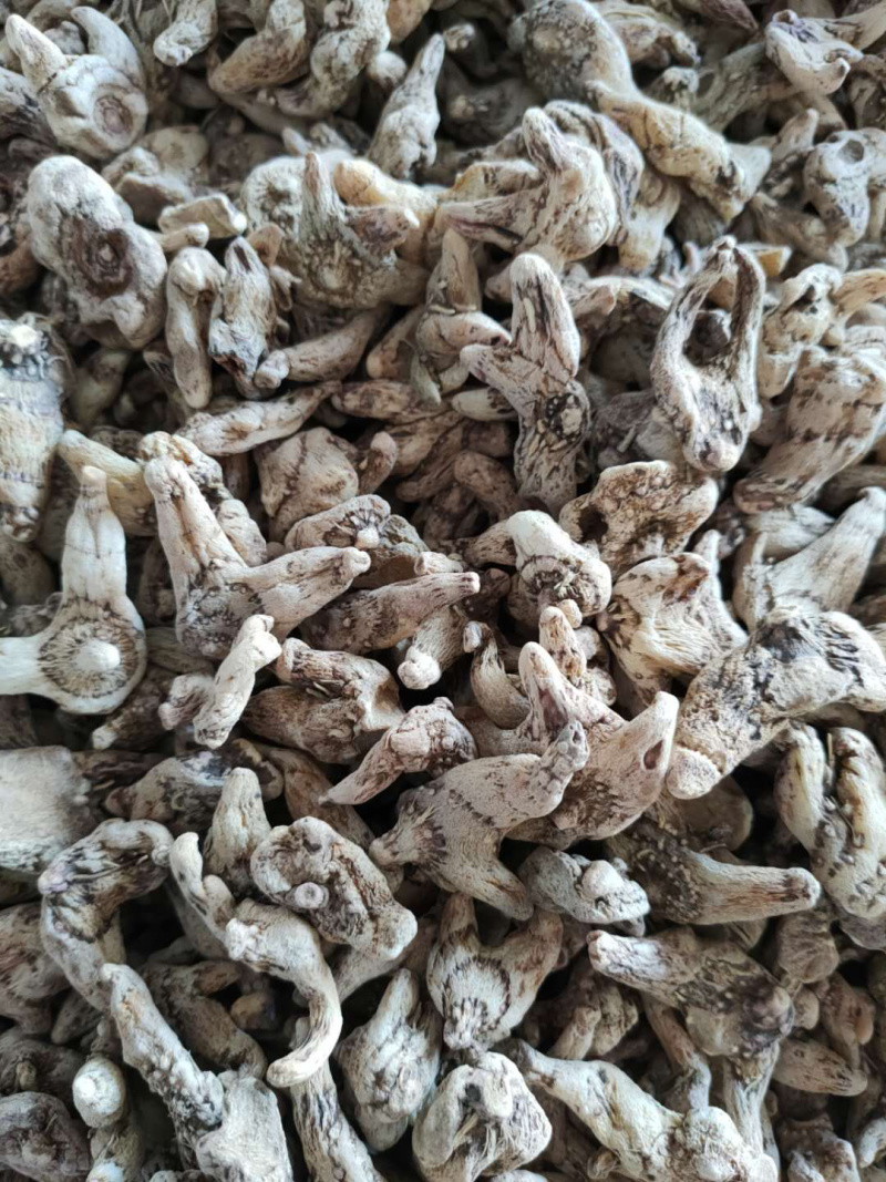白芨干货，个子个子统货