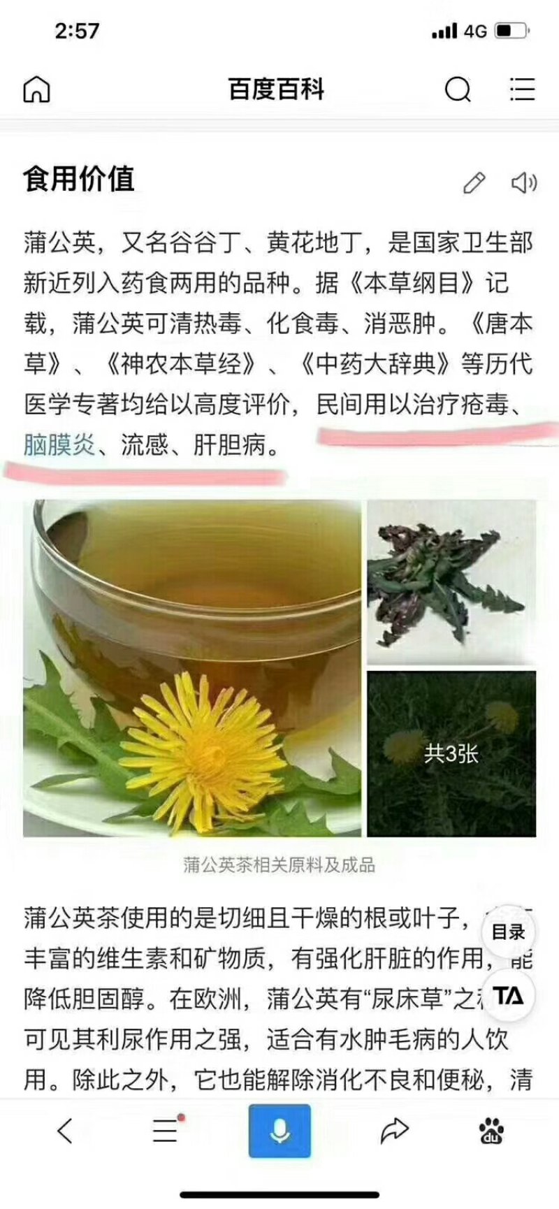 【蒲公英茶】蒲公英茶一件30斤，库房大量现货