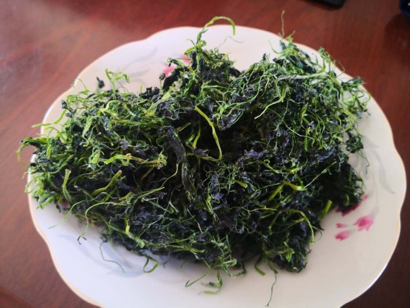 脱水干苜蓿长期合作饺子包子连锁店食品厂