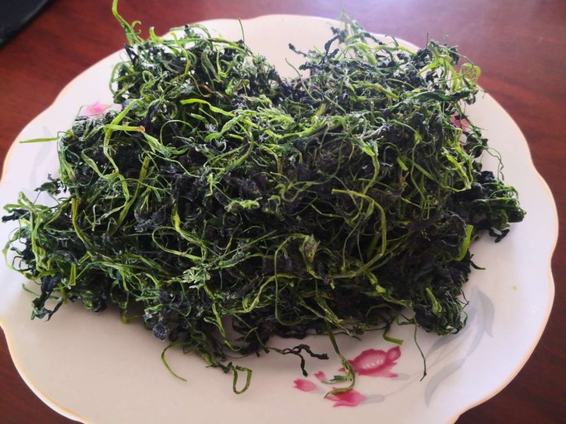 脱水干苜蓿长期合作饺子包子连锁店食品厂