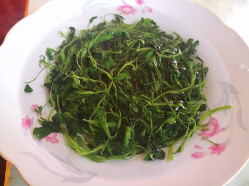 脱水干苜蓿长期合作饺子包子连锁店食品厂