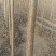 107速生杨，我村是107速生杨基地，量大。
