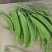 荷兰豆种子白花荷兰豆小荚豆种子白花小荚豆种子