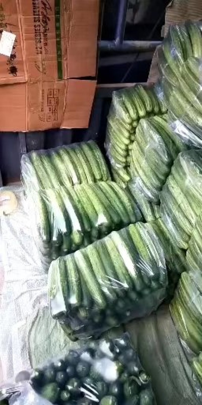 黄瓜燕白黄瓜四川本地燕青小黄瓜量大一手货源