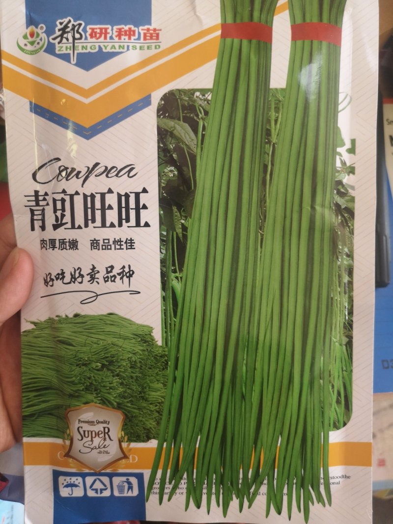 郑研种苗绿博士豆角种子鲜荚深绿色荚肉厚嫩不易早衰